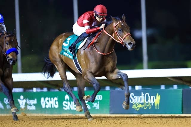 ドバイワールドC枠順】フォーエバーヤングは6番枠 | JRA-VAN World