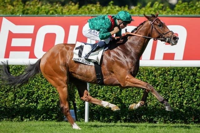 ドバイシーマC枠順確定、カランダガンは2番枠 | JRA-VAN World - 海外