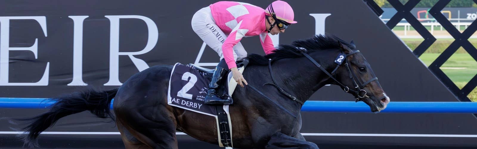 【UAEダービー】<br>ワンダーディーンが快勝