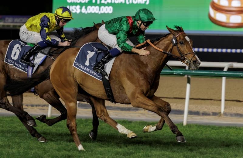 カランダガン　【競馬フィギュア】 カランダガン（Calandagan） | 競馬データベース | JRA-VAN World