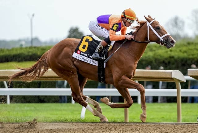 馬　写真 KYダービー前哨戦のG1ブルーグラスS、ファーザーアドゥが11馬身差の