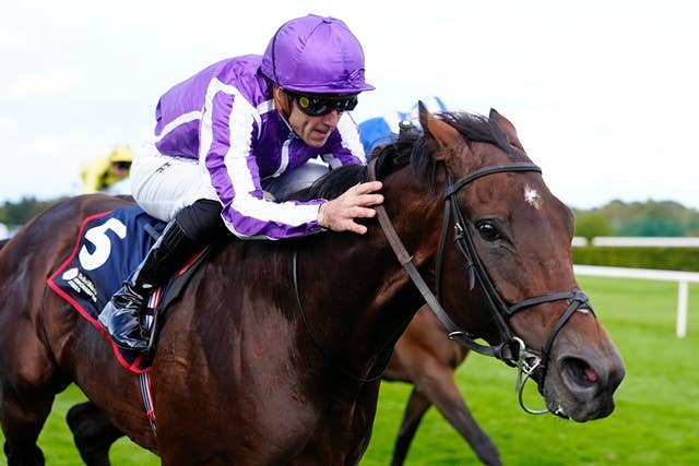 【非売品】クールモア・スタッド (海外競馬・種牡馬) 新種牡馬ドラクロワ、シャトル種牡馬としてクールモア・オーストラリア