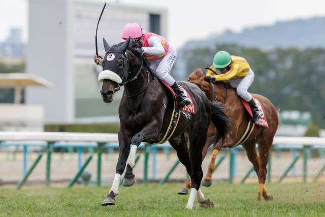 クイーンエリザベス2世カップ（G1） 2026/4/26(日) | 日程・結果 | JRA
