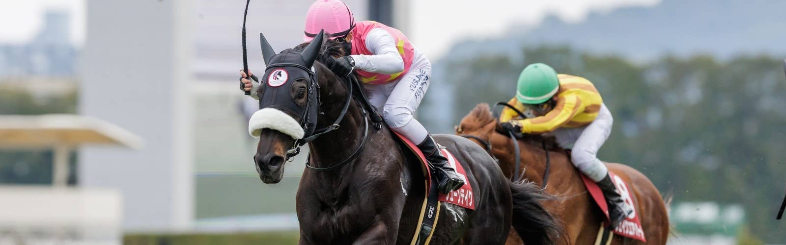 ジューンテイク<br>モレイラ騎手で香港QE2世C参戦