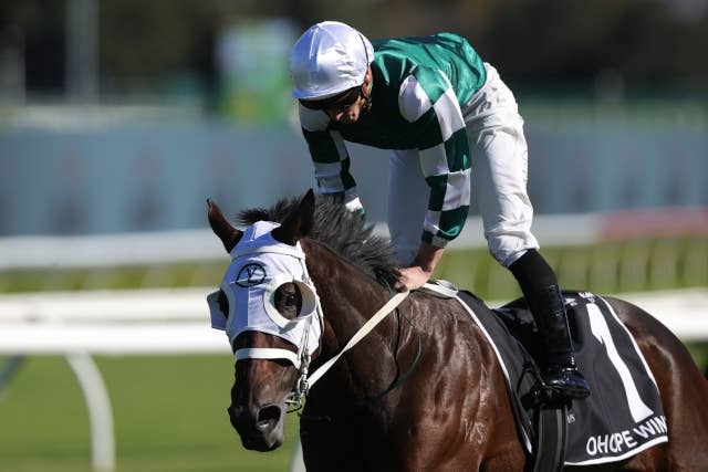 NZオークス馬オーホープウィンズ、史上4頭目となる豪オークスとの NZオークス馬オーホープウィンズ、史上4頭目となる豪オークスとの