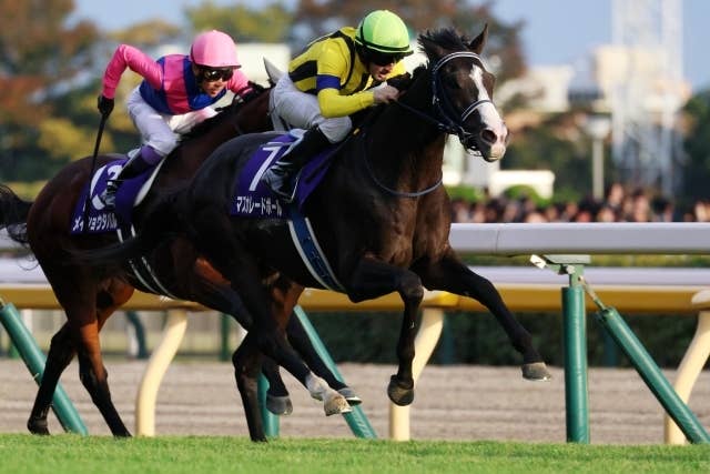 クイーンエリザベス2世カップ（G1） 2026/4/26(日) | 日程・結果 | JRA