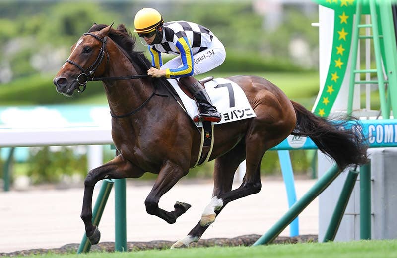 2026香港チャンピオンズデー | JRA-VAN World - 海外競馬情報サイト