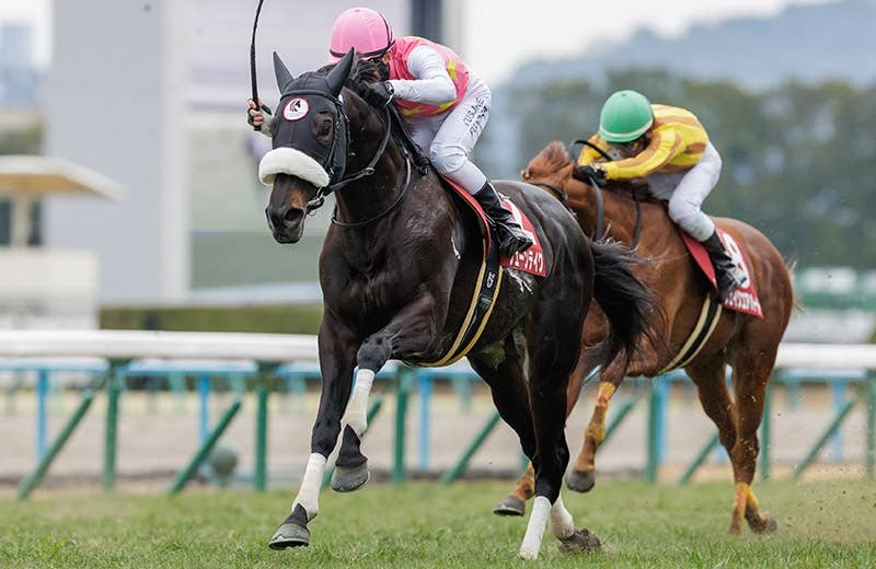 2026香港チャンピオンズデー | JRA-VAN World - 海外競馬情報サイト