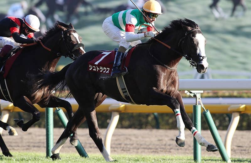 2026香港チャンピオンズデー | JRA-VAN World - 海外競馬情報サイト