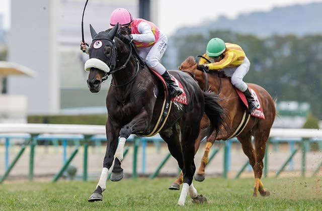 クイーンエリザベス2世カップ（G1） 2026/4/26(日) | 日程・結果 | JRA