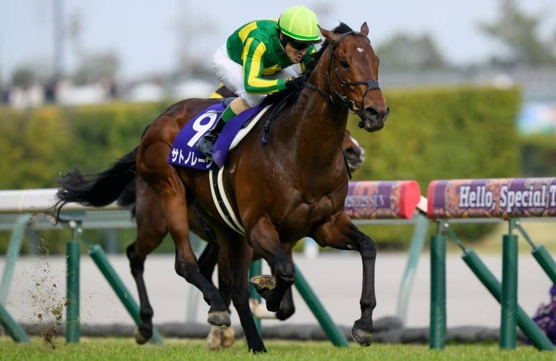 2026香港チャンピオンズデー | JRA-VAN World - 海外競馬情報サイト