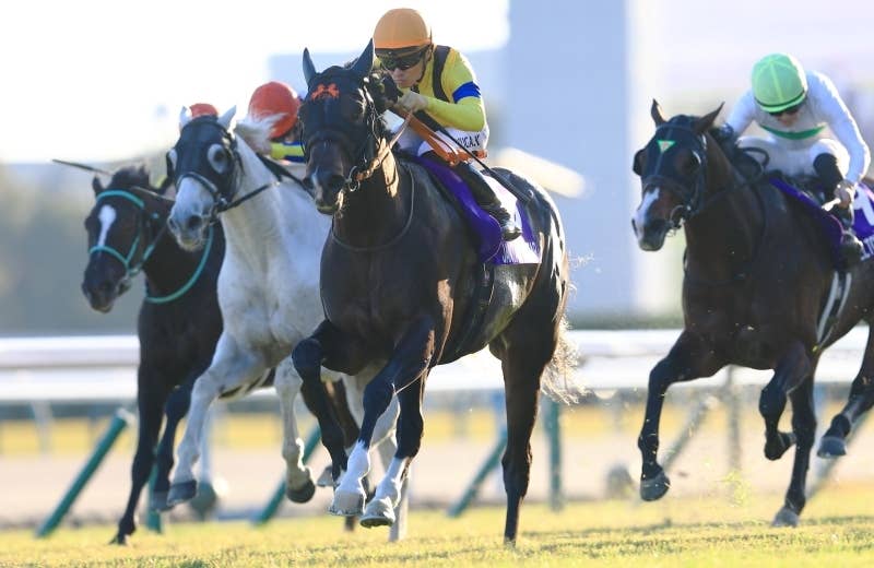ジャンタルマンタル（Jantar Mantar） | 競馬データベース | JRA-VAN