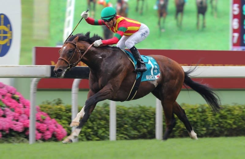 モーリス ブルゾン 競馬 モーリス（Maurice） | 競馬データベース | JRA-VAN World - 海外競馬