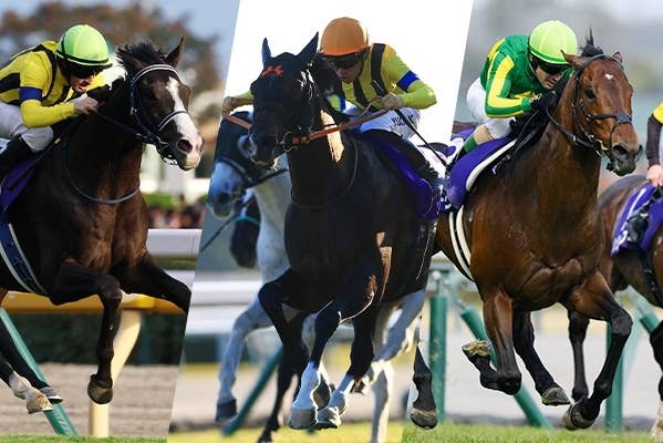 リバティアイランド ラストラン 現地単勝馬券 香港QE2世C 香港・クイーンエリザベスⅡ世C】タスティエーラ復活の完勝 リバティ