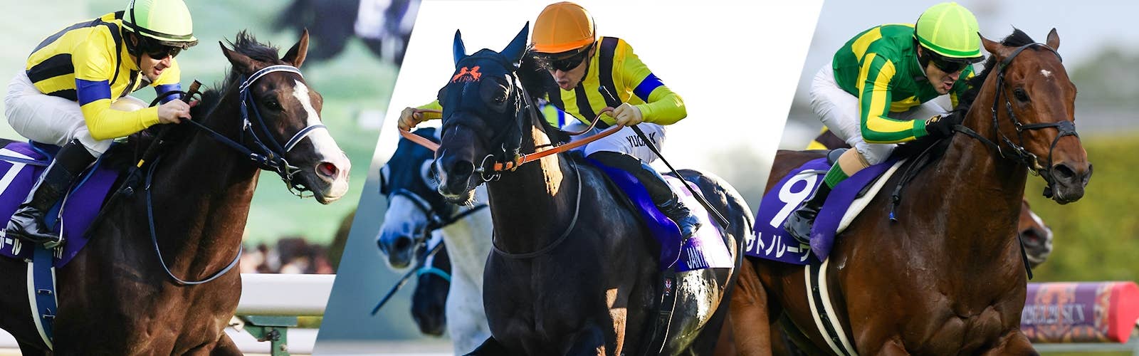 【香港チャンピオンズデー】<br>最新情報はこちら