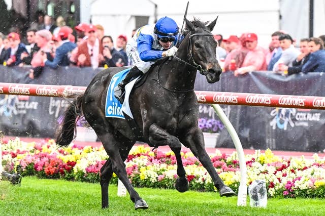 7歳馬ジグソーが破竹の7連勝、総賞金5.7億円のクオッカも制す | JRA