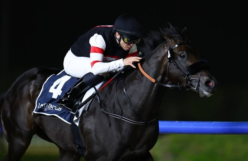 競馬の極み シックススピード（Six Speed） | 競馬データベース | JRA-VAN World