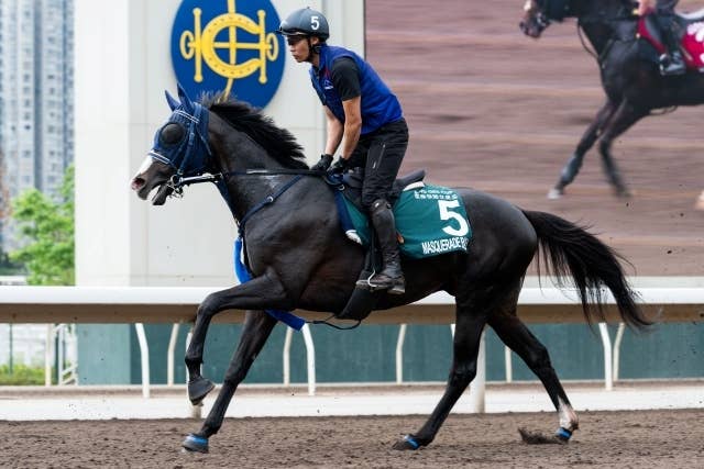 香港QE2世C】「うちの馬も強いよ。倒したらどんな雰囲気かな