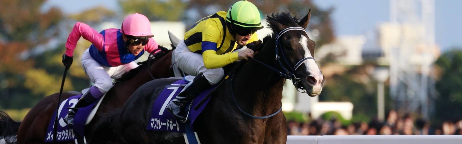 【QE2世C枠順】<br>マスカレードボールは6番枠