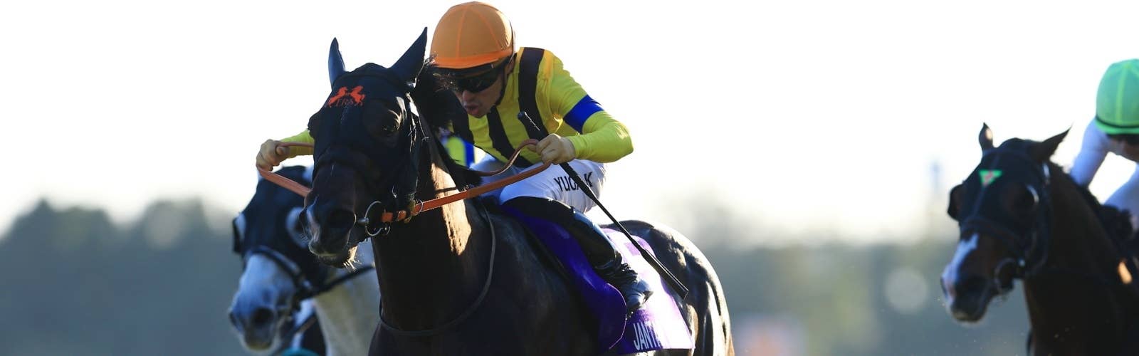 【チャンピオンズM枠順】<br>ジャンタルマンタルは6番枠