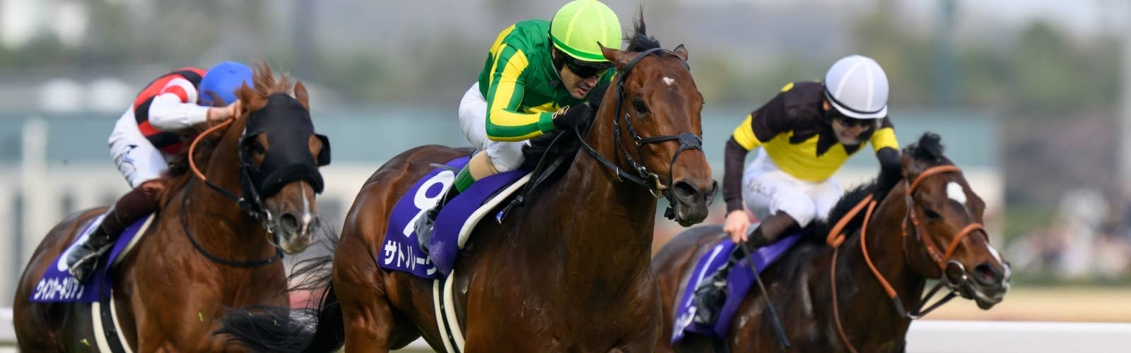 【チェアマンズSP枠順】<br>サトノレーヴは8番枠