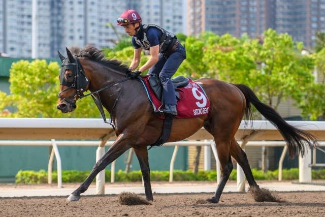 サトノレーヴで王者カーインライジングに挑むモレイラ騎手、「チャンス