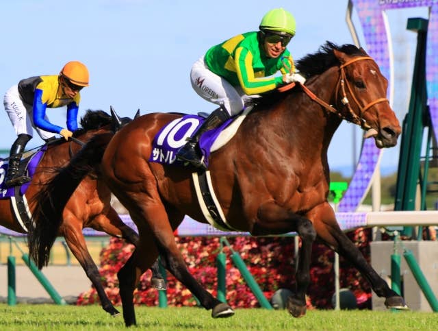 チェアマンズSP】8番枠のサトノレーヴ、「枠順も大事だが当日の馬場