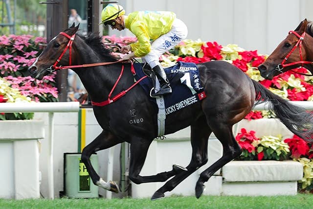 ジャンタルマンタル（Jantar Mantar） | 競馬データベース | JRA-VAN