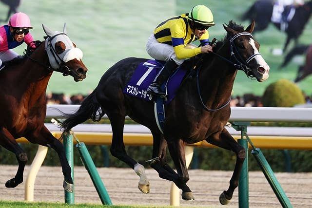 ニュース | 2026香港チャンピオンズデー | JRA-VAN World - 海外競馬
