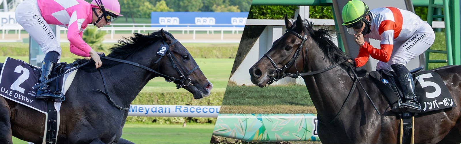 【ケンタッキーダービー】<br>最新情報はこちら