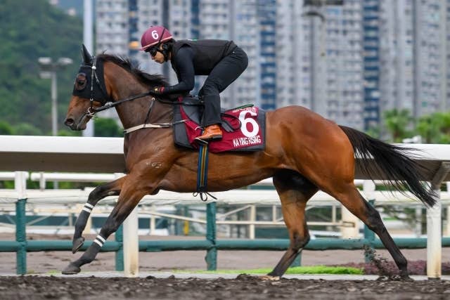 カーインライジング（Ka Ying Rising） | 競馬データベース | JRA-VAN