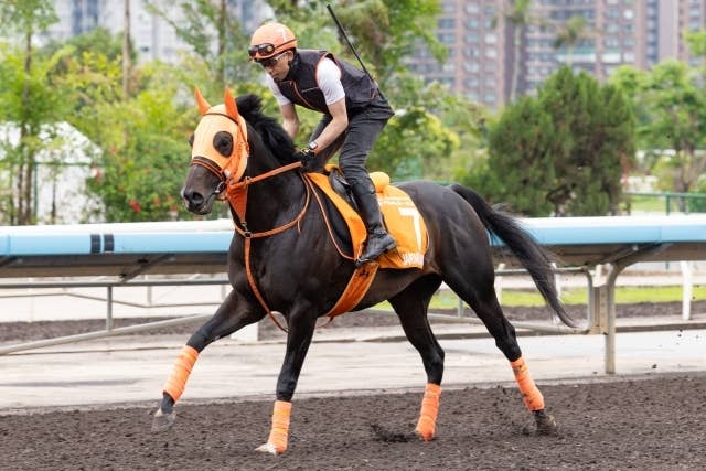 ジャンタルマンタル（Jantar Mantar） | 競馬データベース | JRA-VAN