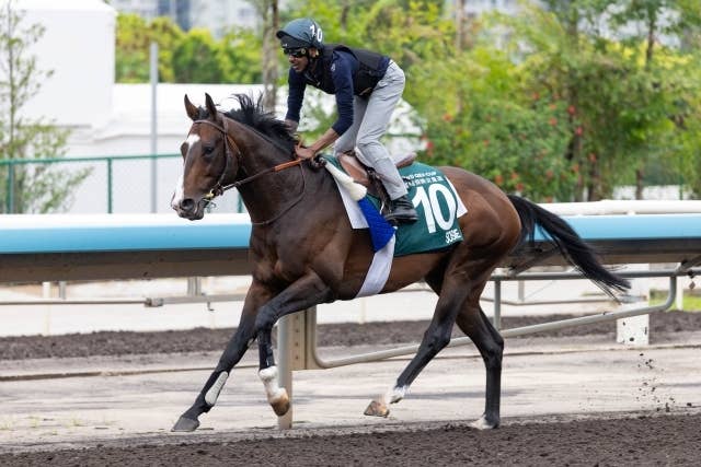 2026クイーンエリザベス2世カップ | JRA-VAN World - 海外競馬情報サイト
