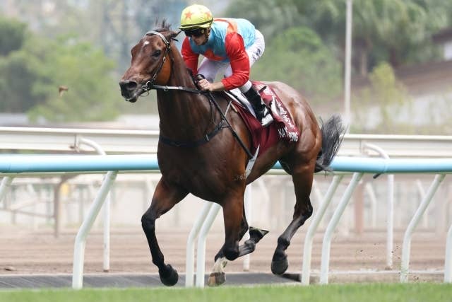 カーインライジング（Ka Ying Rising） | 競馬データベース | JRA-VAN