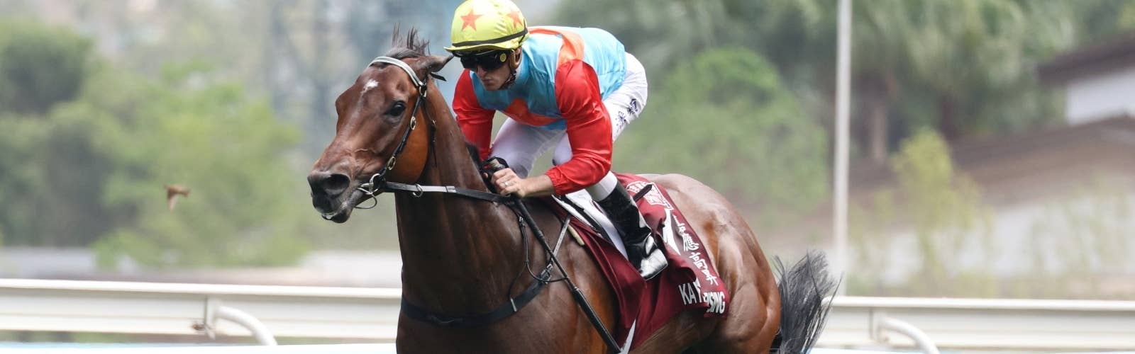 【チェアマンズSP】<br>カーインライジングが20連勝