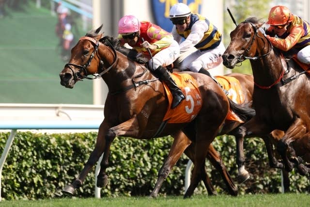 2026香港チャンピオンズデー | JRA-VAN World - 海外競馬情報サイト
