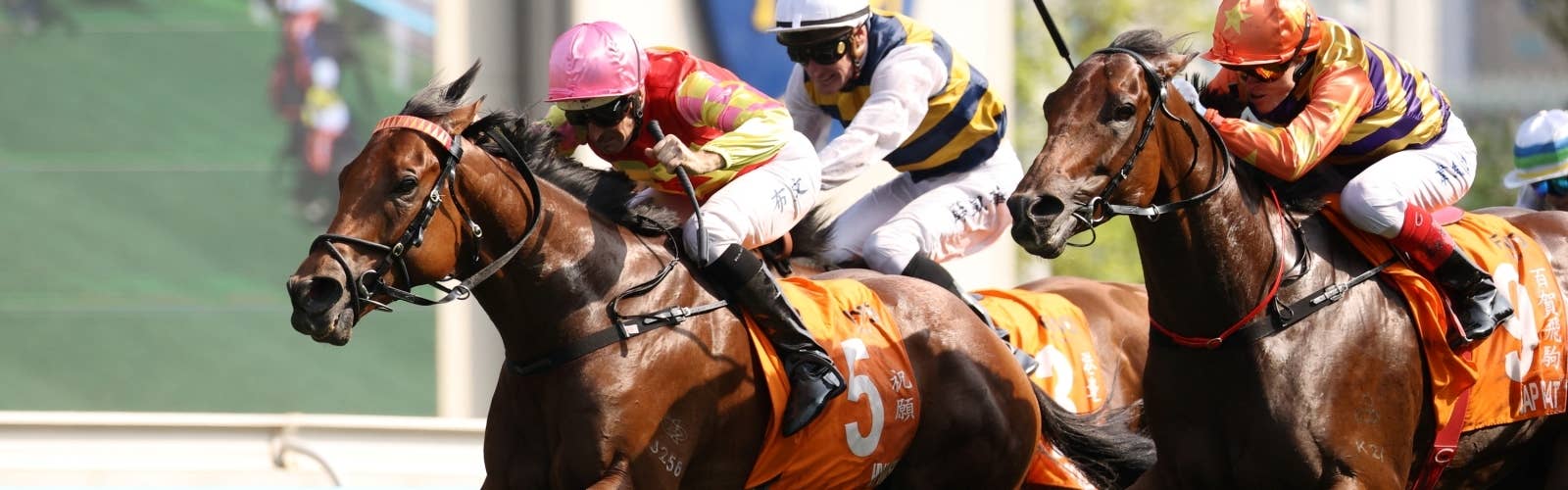 【チャンピオンズM】<br>マイウィッシュがG1初制覇