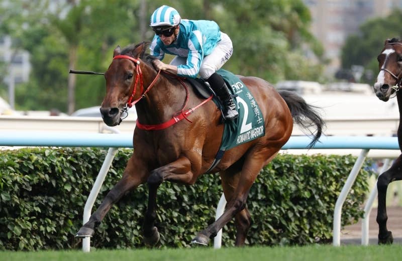 2026クイーンエリザベス2世カップ | JRA-VAN World - 海外競馬情報サイト