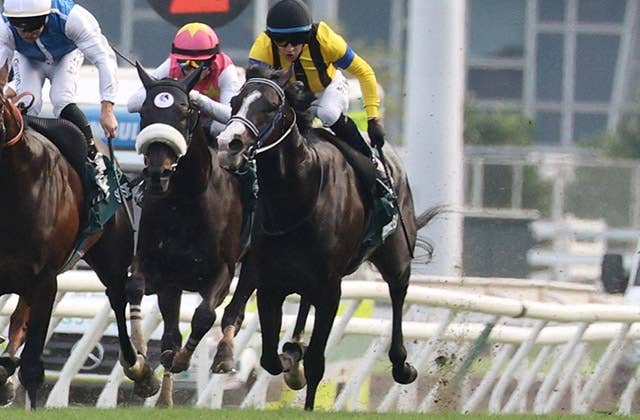 香港チャンピオンズデー回顧】英雄に及ばず2着もマスカレードボールは
