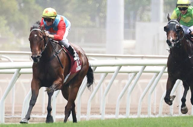 チェアマンズSP】カーインライジングが圧巻の20連勝、サトノレーヴらを