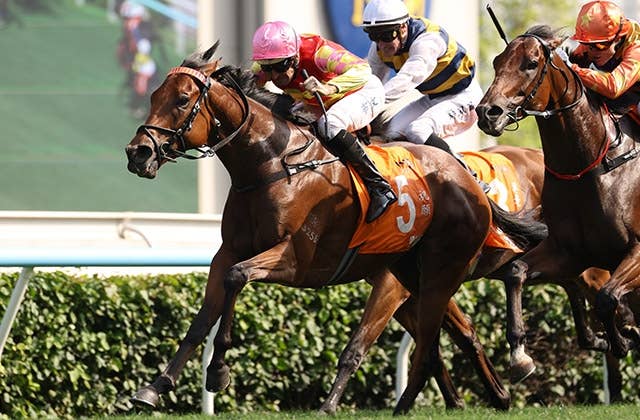 2026香港チャンピオンズデー | JRA-VAN World - 海外競馬情報サイト