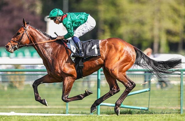 凱旋門賞馬ダリズ、休み明けの仏G1ガネー賞を圧勝 | JRA-VAN World