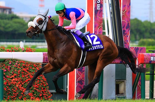 メイショウハリオ ワイン 4本セット競馬 馬 JRA ウマ娘 競走馬 メイショウ 20251207-OHT1I51185-L.jpg