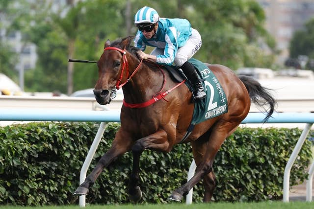 2026クイーンエリザベス2世カップ | JRA-VAN World - 海外競馬情報サイト