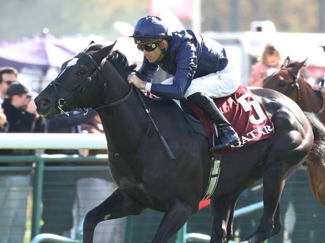 ポニーキャニオン　中央競馬G1総集編2000年〜2016年の17年分セット ポニーキャニオン 中央競馬G1総集編2000年〜2016年の17年分セット
