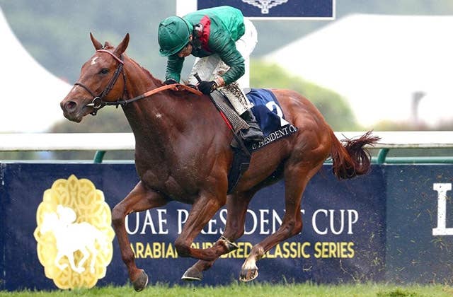 ポニーキャニオン 中央競馬G1総集編2000年〜2016年の17年分セット