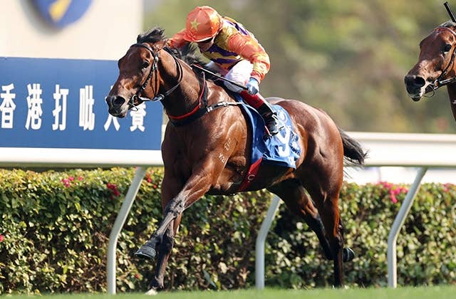 JRAポスター ロマンチックウォリアー ロマンチックウォリアー（Romantic Warrior） | 競馬データベース