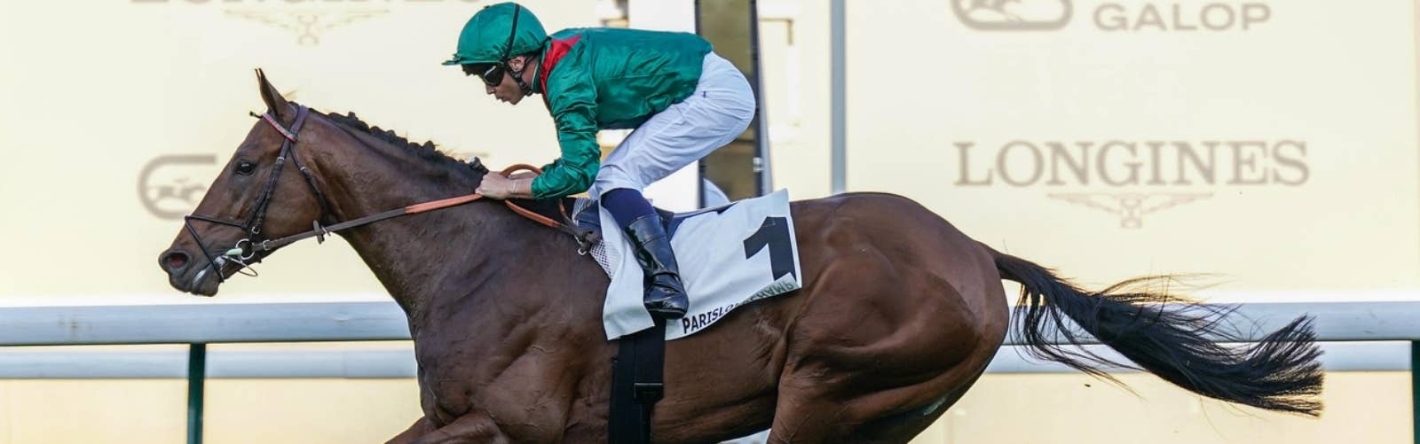 ダリズが距離短縮に適応<br>アガ・カーン4世賞を圧勝
