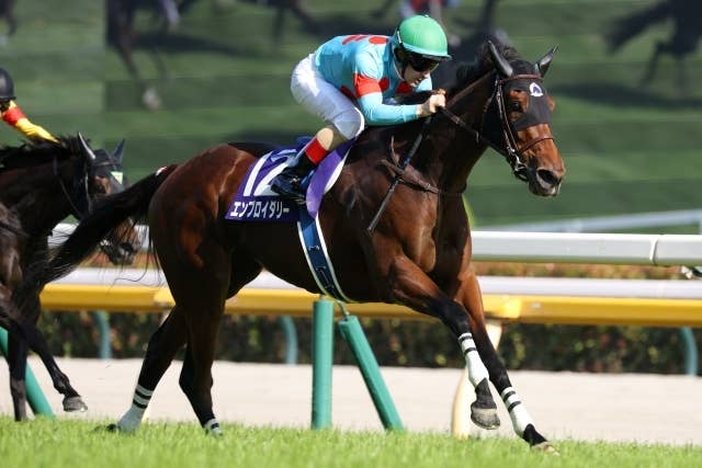 JRA-VAN World - 海外競馬情報サイト
