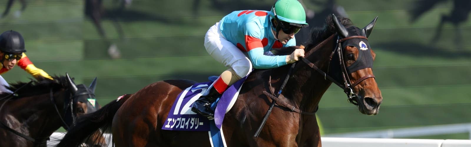 G1・3勝牝馬エンブロイダリー<br>ジャックルマロワ賞に登録